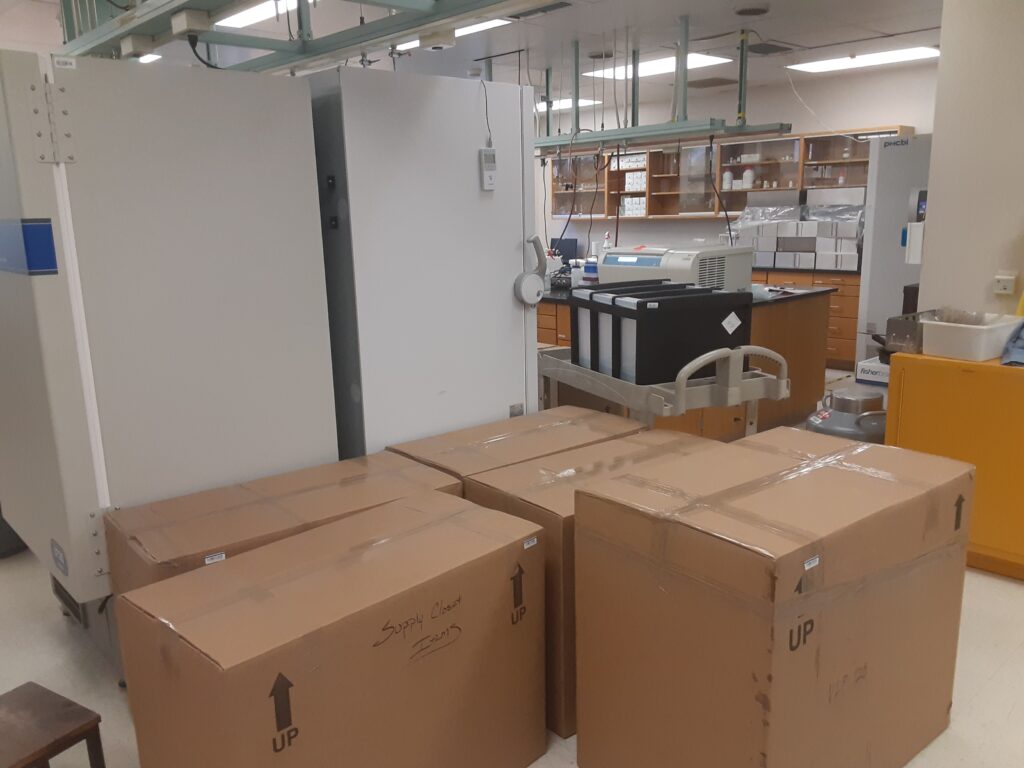 boxes in lab